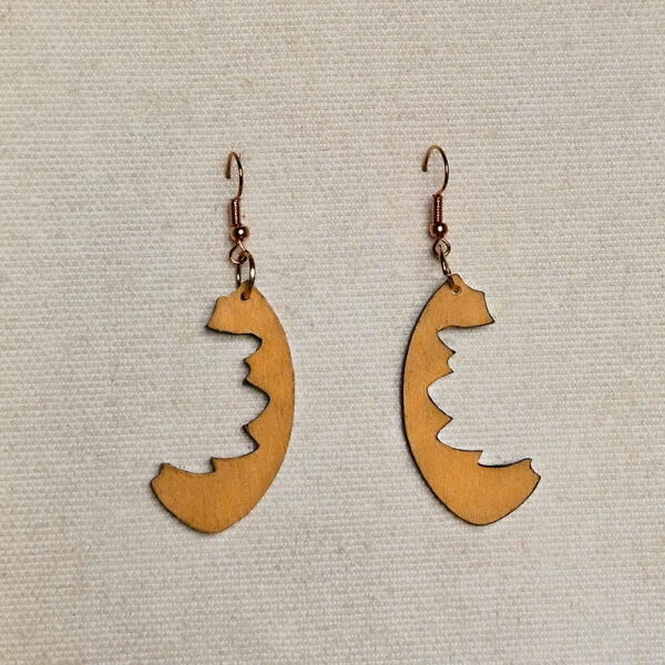 Boucles d’oreille ​Croissant du désert - Image 8