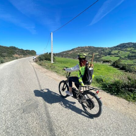 Screenshot 2026-03-30 170224